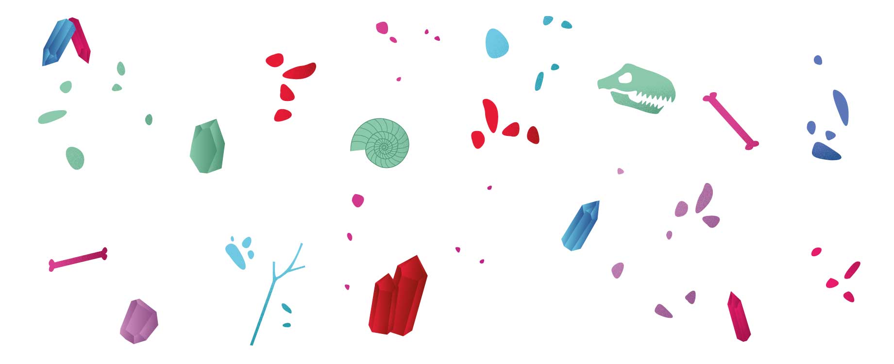 Composition artistique de roches colorées mêlées à des débris et des squelettes sur fond blanc, explorant le contraste entre matière, vie et disparition.