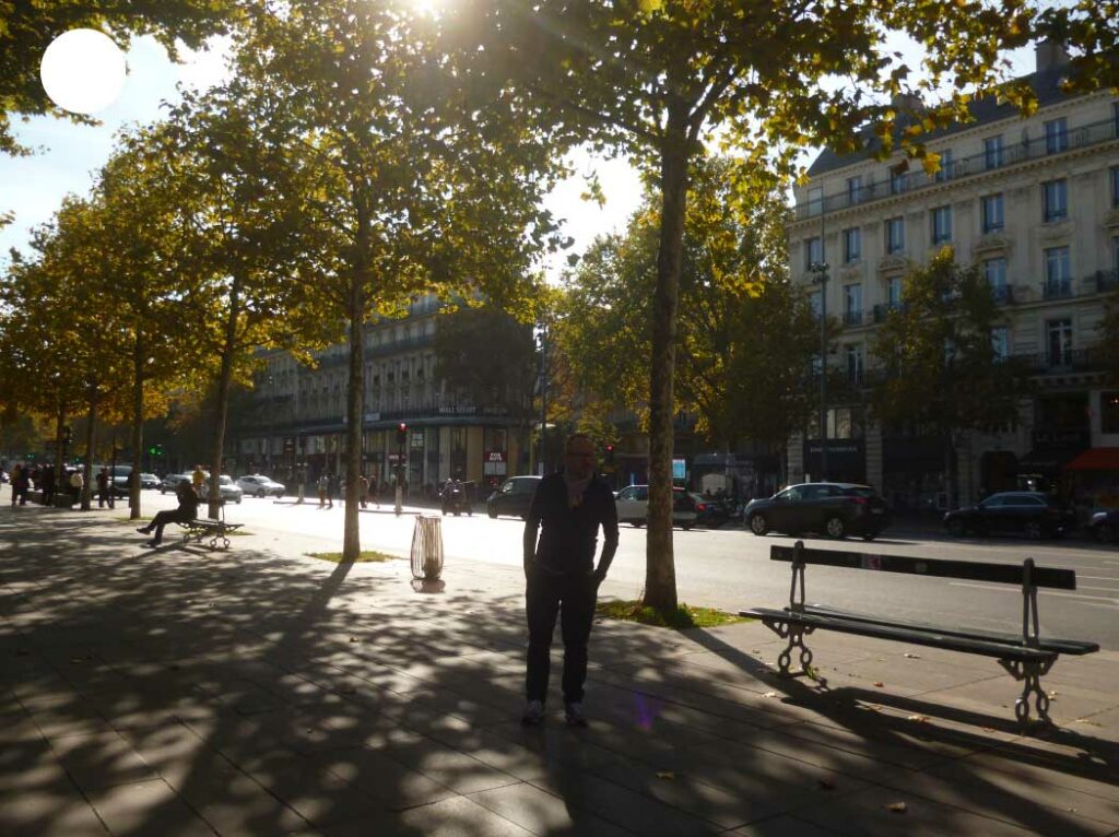 Ombres d’arbres au soleil sur la Place de la République à Paris, créant un jeu graphique naturel au cœur de la ville.