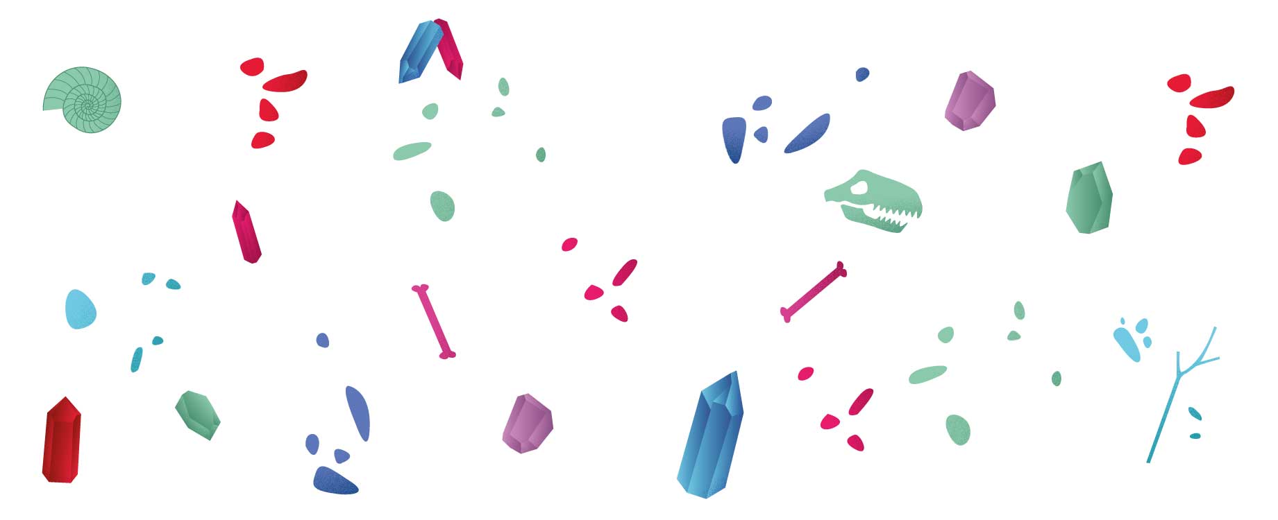 Composition artistique de roches colorées mêlées à des débris et des squelettes sur fond blanc, explorant le contraste entre matière, vie et disparition.