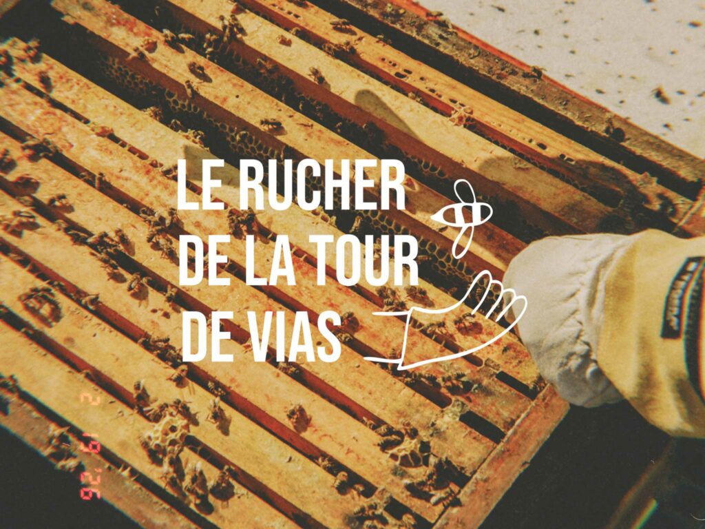 Photo d’intérieur de ruche mettant en avant un gant d’apiculteur marqué du logo blanc du Rucher de la Tour d’Évias, illustrant l’univers artisanal et l’identité visuelle de la marque.