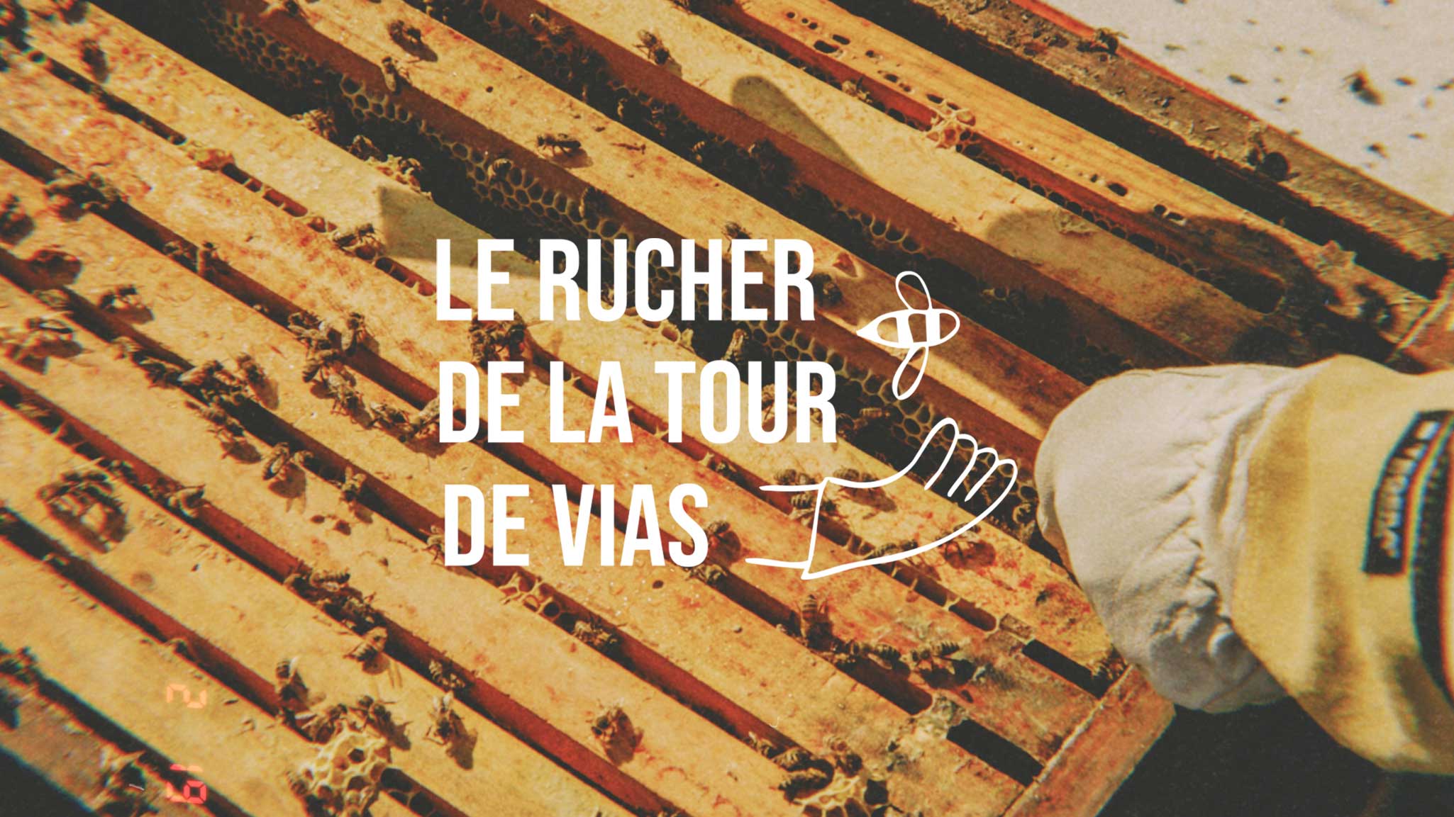 Lire la suite à propos de l’article Le Rucher De La Tour De Vias